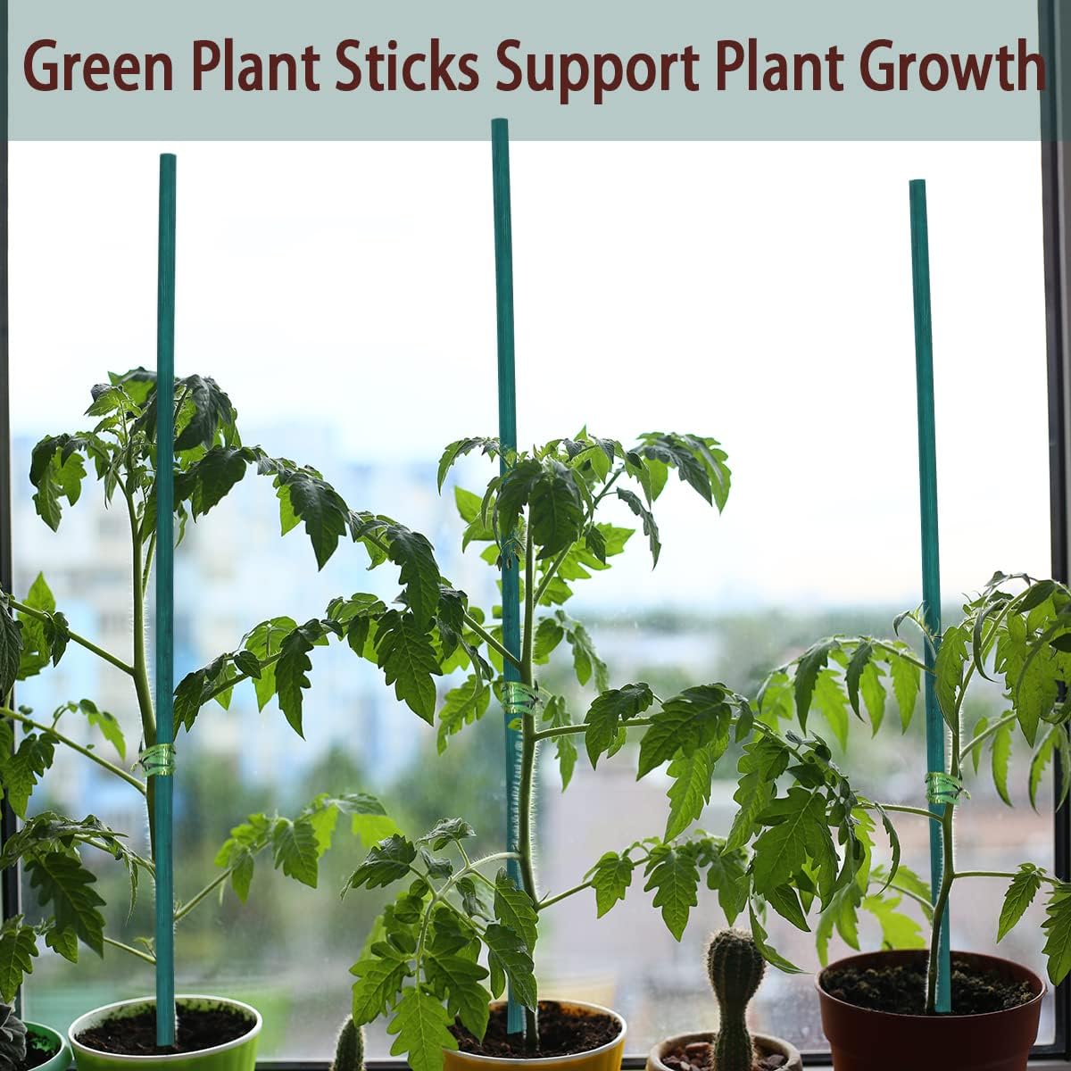 GAGINANG Green Bamboo Plant Stakes, 50 Pcs 18 Inches Floral Support Sticks