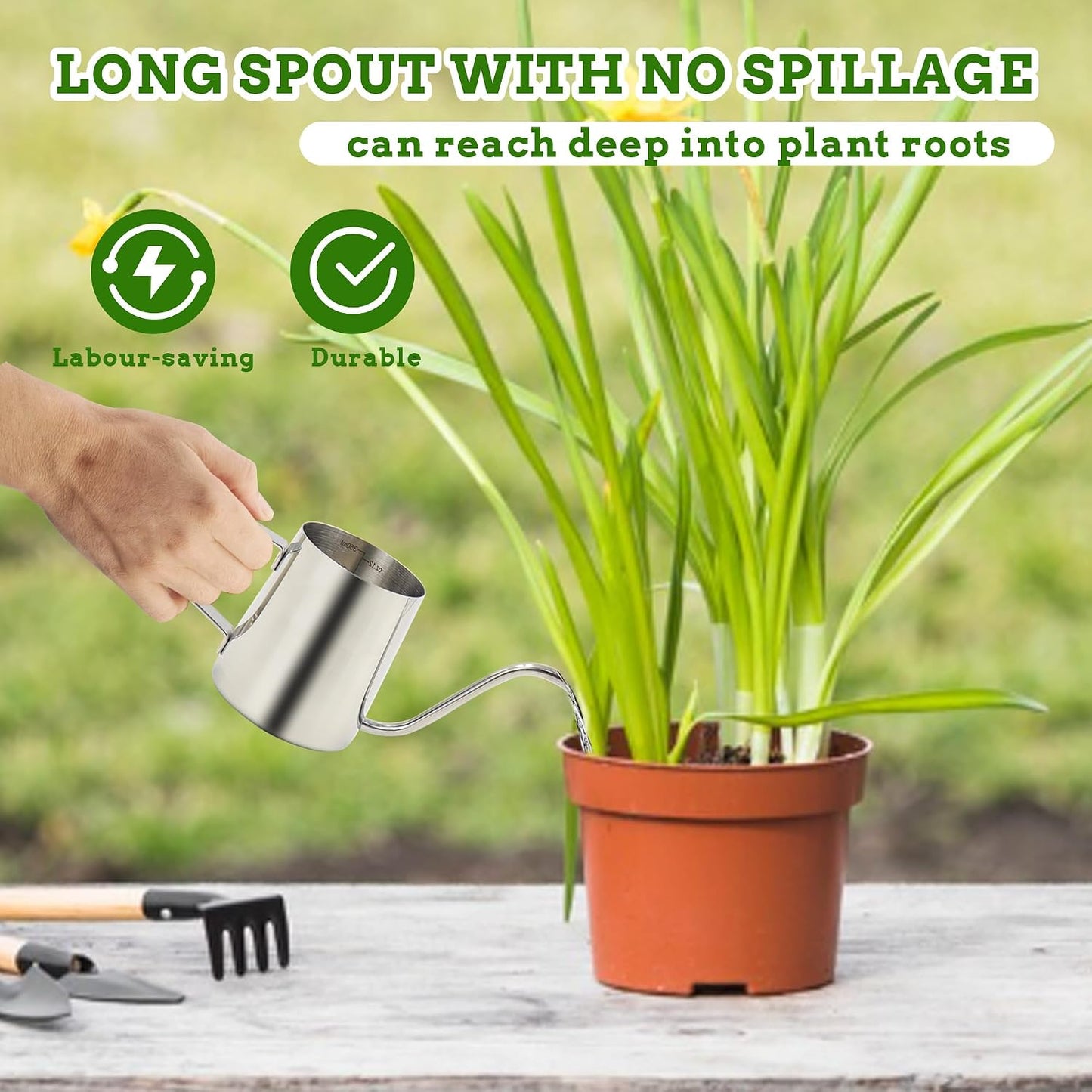 Small Watering Can for Indoor Plants, 12 OZ Mini Flower Watering Pots