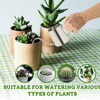 Small Watering Can for Indoor Plants, 12 OZ Mini Flower Watering Pots