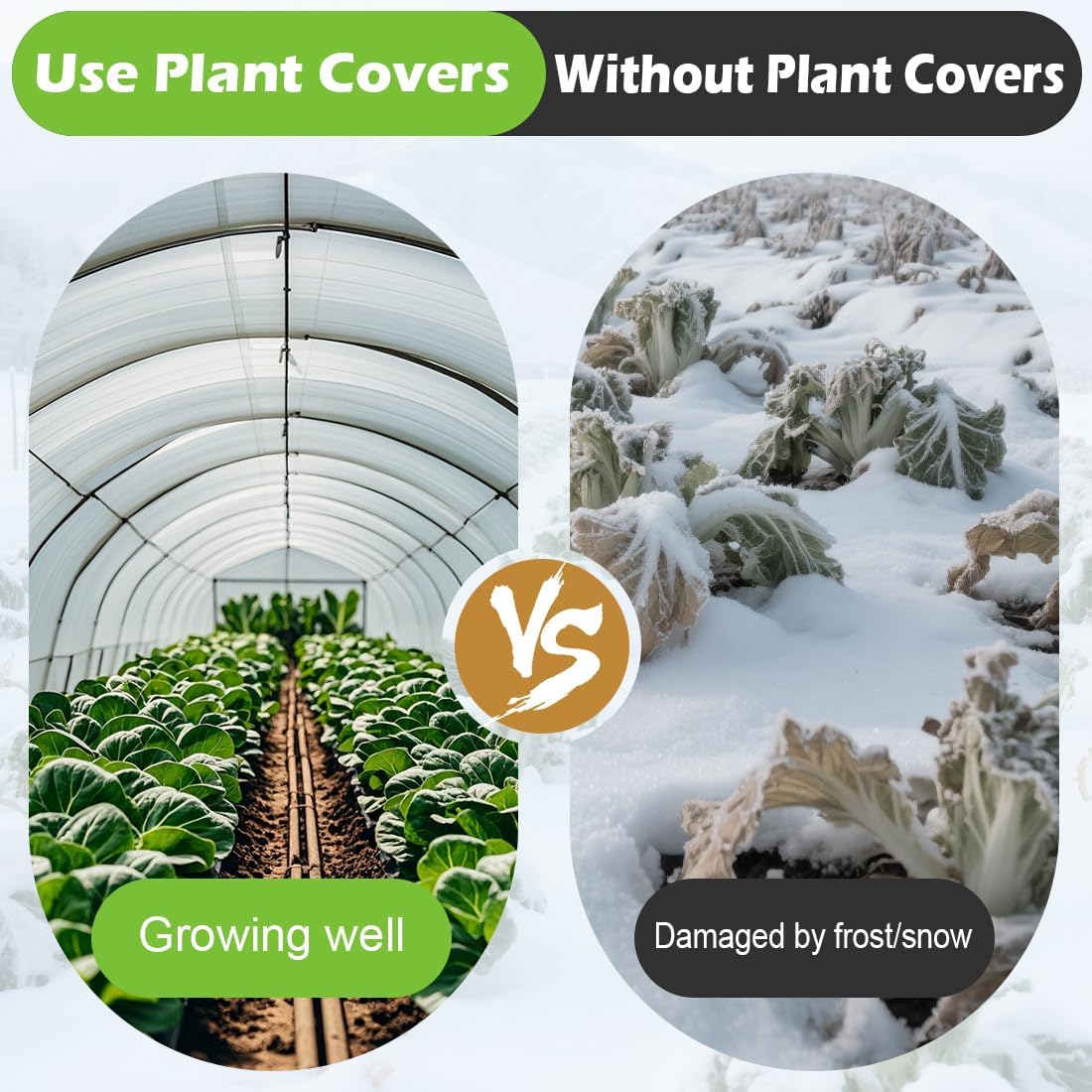 Frost Blanket for Outdoor Plants, Plant Covers Freeze Protection 10x50 Ft