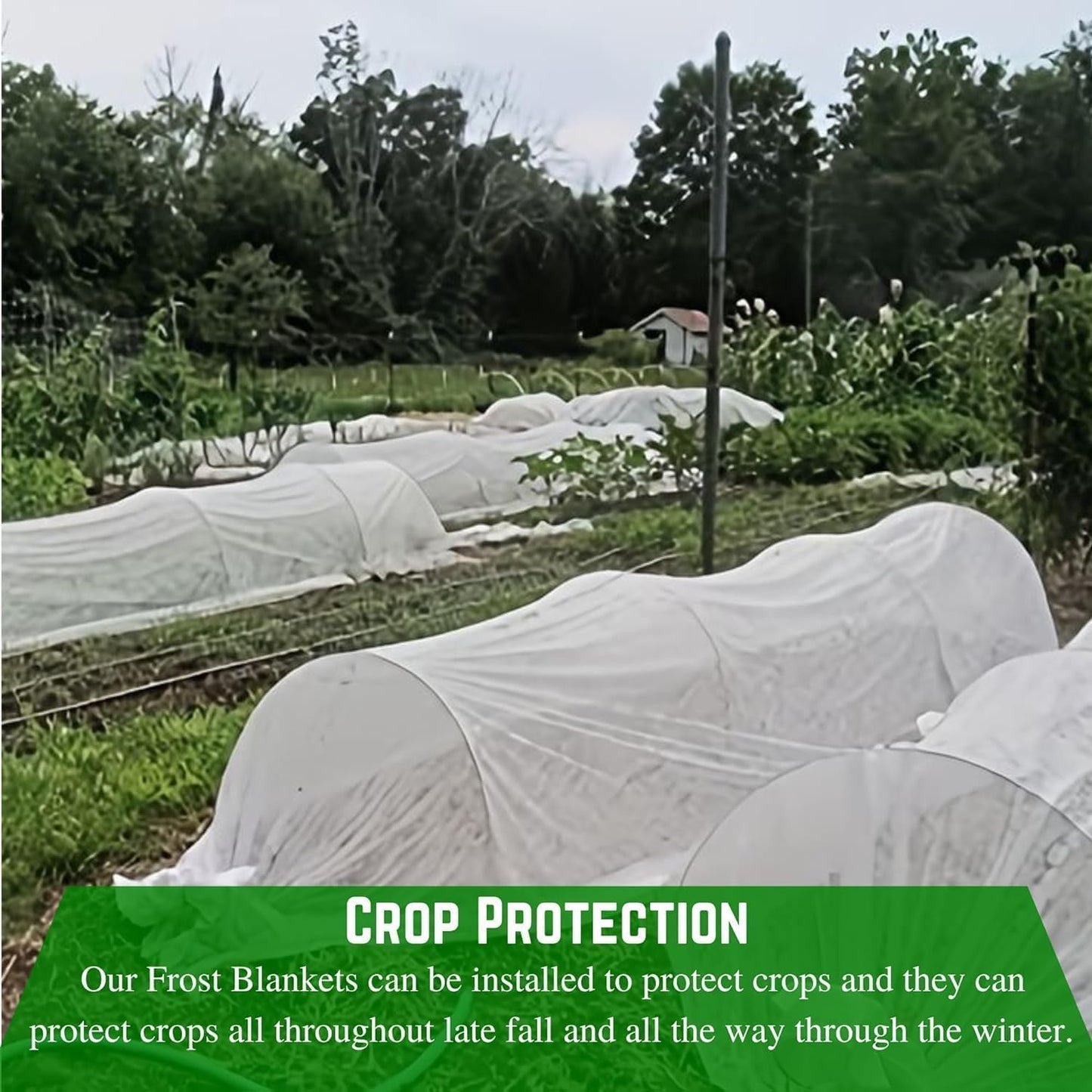Frost Protection Blanket - Plant Covers Freeze Protection, Winter Plant Cover, Frost Blanket, Frost Cloth, Frost Blankets for Plants, Plant Frost Protector (7' x 7') - Colors B