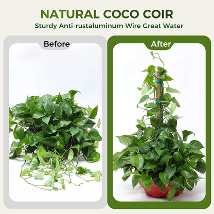 4 Pack Moss Pole Monstera Plant Support, 2 Pack 28" & 2 Pack 48" Bendable Plant Stakes Made of Real Coco Coir Support for Climbing Indoor Plants, Tall Moss Stick Trellis for Potted Climbers