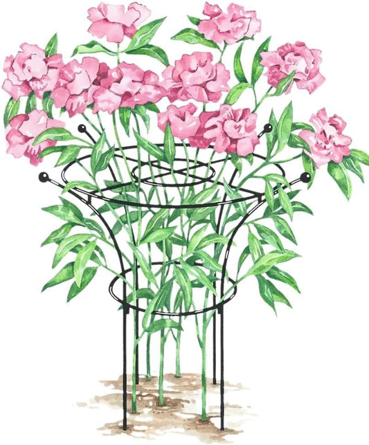 Essex Plant Support Frame for Peonies, Rose, Ornamental Flower Garden Cage - Wide Top Rings Natural Bouquet Shape - 38" H x 23" D