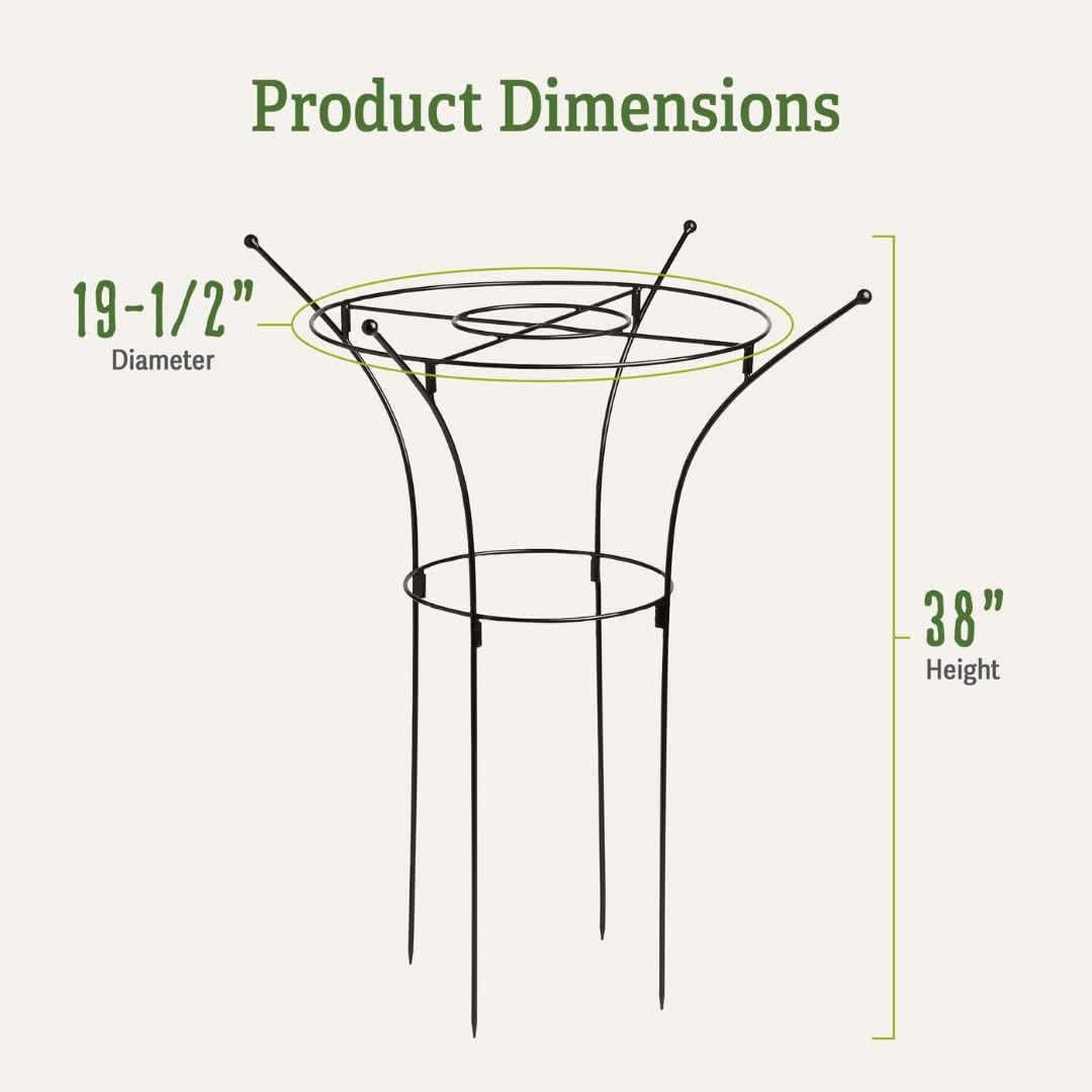 Essex Plant Support Frame for Peonies, Rose, Ornamental Flower Garden Cage - Wide Top Rings Natural Bouquet Shape - 38" H x 23" D
