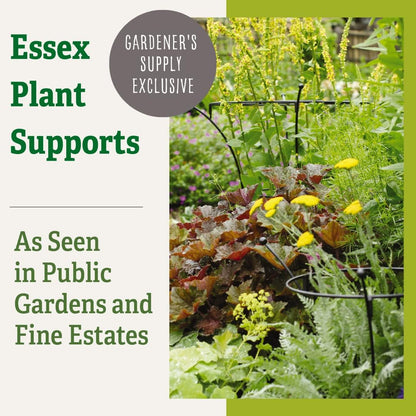 Essex Plant Support Frame for Peonies, Rose, Ornamental Flower Garden Cage - Wide Top Rings Natural Bouquet Shape - 38" H x 23" D