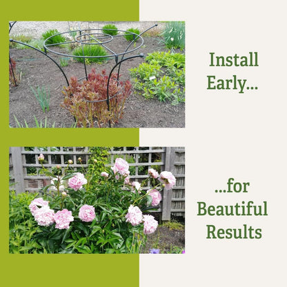 Essex Plant Support Frame for Peonies, Rose, Ornamental Flower Garden Cage - Wide Top Rings Natural Bouquet Shape - 38" H x 23" D
