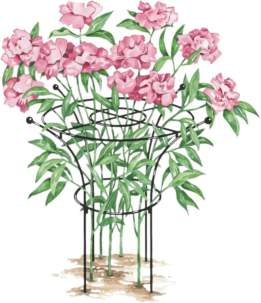 Essex Plant Support Frame for Peonies, Rose, Ornamental Flower Garden Cage - Wide Top Rings Natural Bouquet Shape - 38" H x 23" D