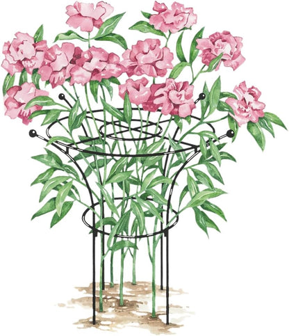 Essex Plant Support Frame for Peonies, Rose, Ornamental Flower Garden Cage - Wide Top Rings Natural Bouquet Shape - 38" H x 23" D
