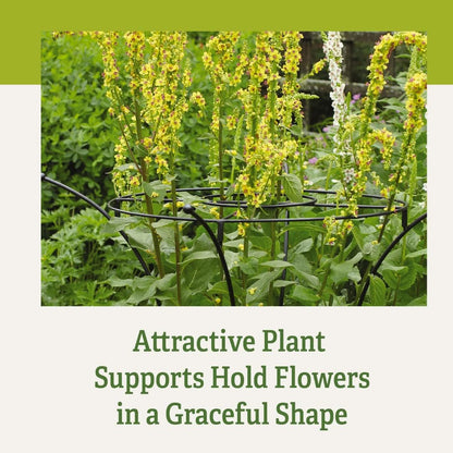Essex Plant Support Frame for Peonies, Rose, Ornamental Flower Garden Cage - Wide Top Rings Natural Bouquet Shape - 38" H x 23" D