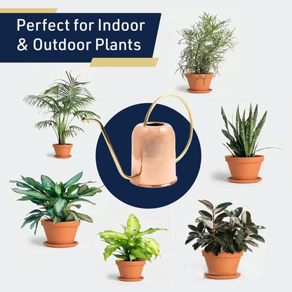 Copper Watering Can Indoor Plants - 48oz Long Spout Precise Small Water Can for Plants, Bonsai, Succulents, Houseplants, or Garden - Metal Inside or Outdoor Plant Watering Cans
