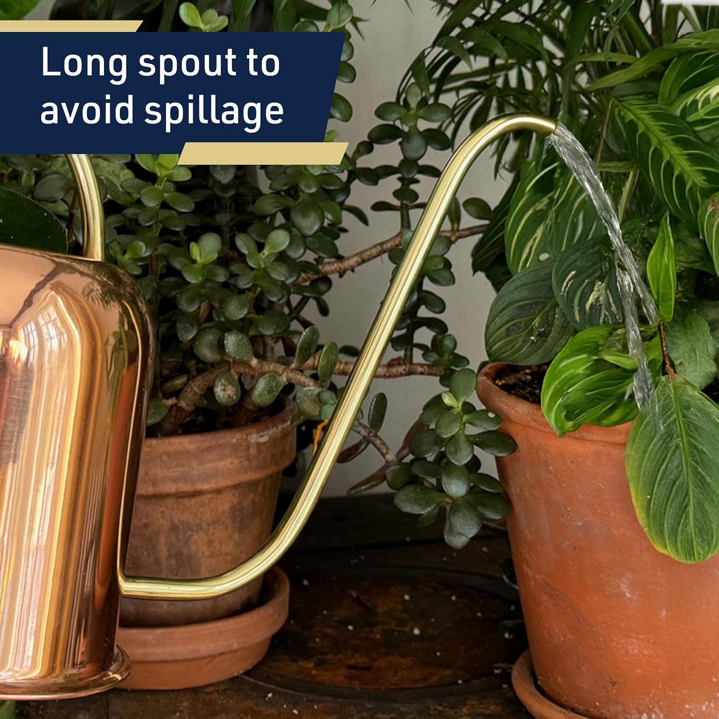 Copper Watering Can Indoor Plants - 48oz Long Spout Precise Small Water Can for Plants, Bonsai, Succulents, Houseplants, or Garden - Metal Inside or Outdoor Plant Watering Cans