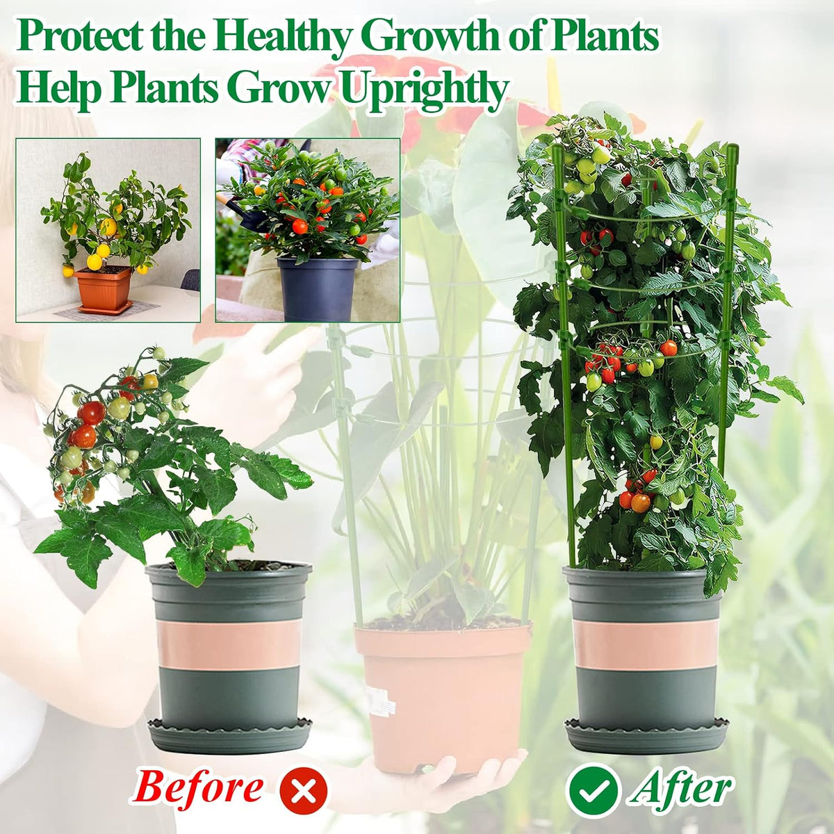 3 Packs Plant Support Cages Tomato Cage for Garden- 18 Inch Adjustable Garden Cucumber Trellis Plant Stakes, Trellis Support Rings for Climbing Plants, Pots, Indoor Plants with 10 Plant Clips