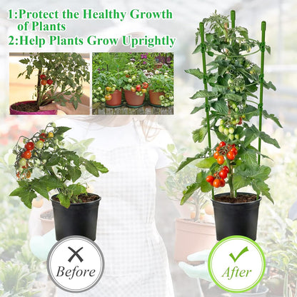 3 Packs Plant Support Cages Tomato Cage for Garden- 18 Inch Adjustable Garden Cucumber Trellis Plant Stakes, Trellis Support Rings for Climbing Plants, Pots, Indoor Plants with 10 Plant Clips