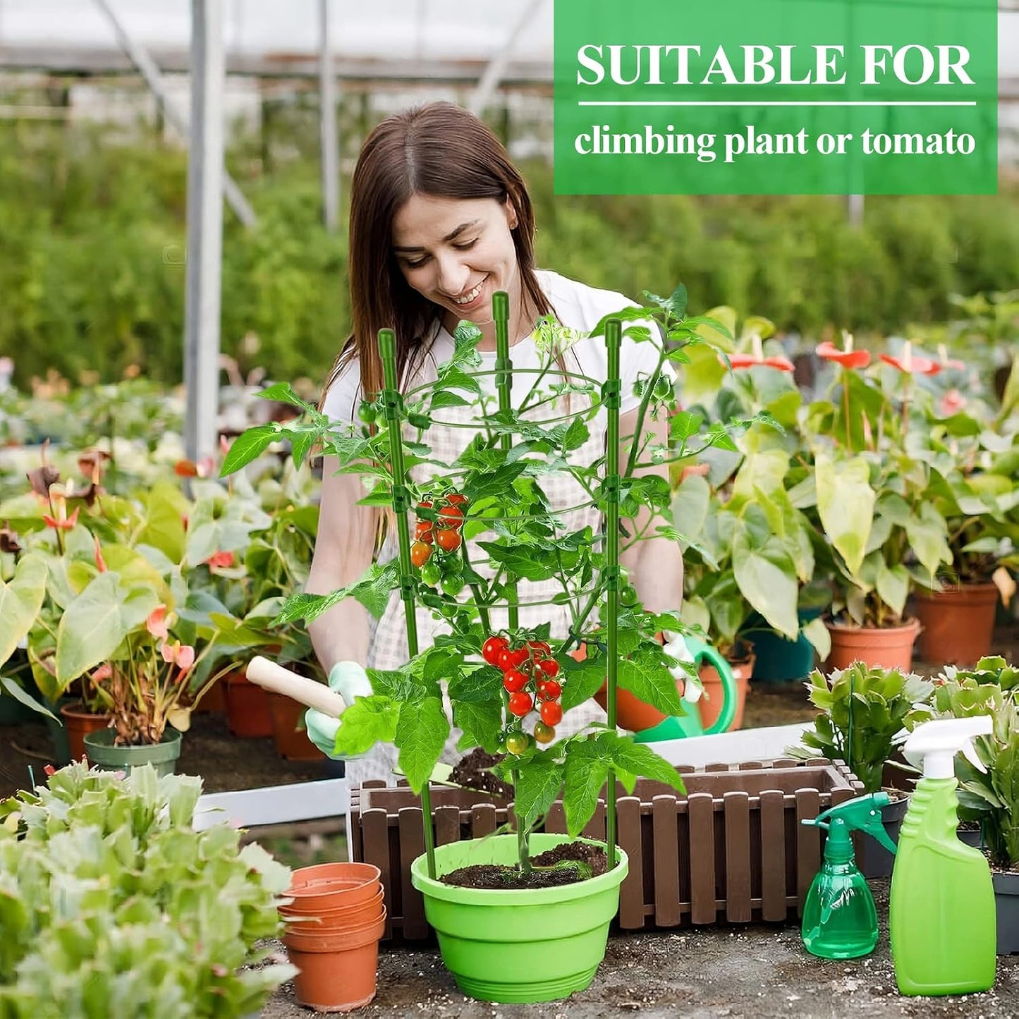 3 Packs Plant Support Cages Tomato Cage for Garden- 18 Inch Adjustable Garden Cucumber Trellis Plant Stakes, Trellis Support Rings for Climbing Plants, Pots, Indoor Plants with 10 Plant Clips