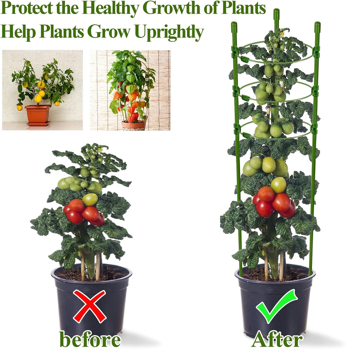3 Packs Plant Support Cages Tomato Cage for Garden- 18 Inch Adjustable Garden Cucumber Trellis Plant Stakes, Trellis Support Rings for Climbing Plants, Pots, Indoor Plants with 10 Plant Clips