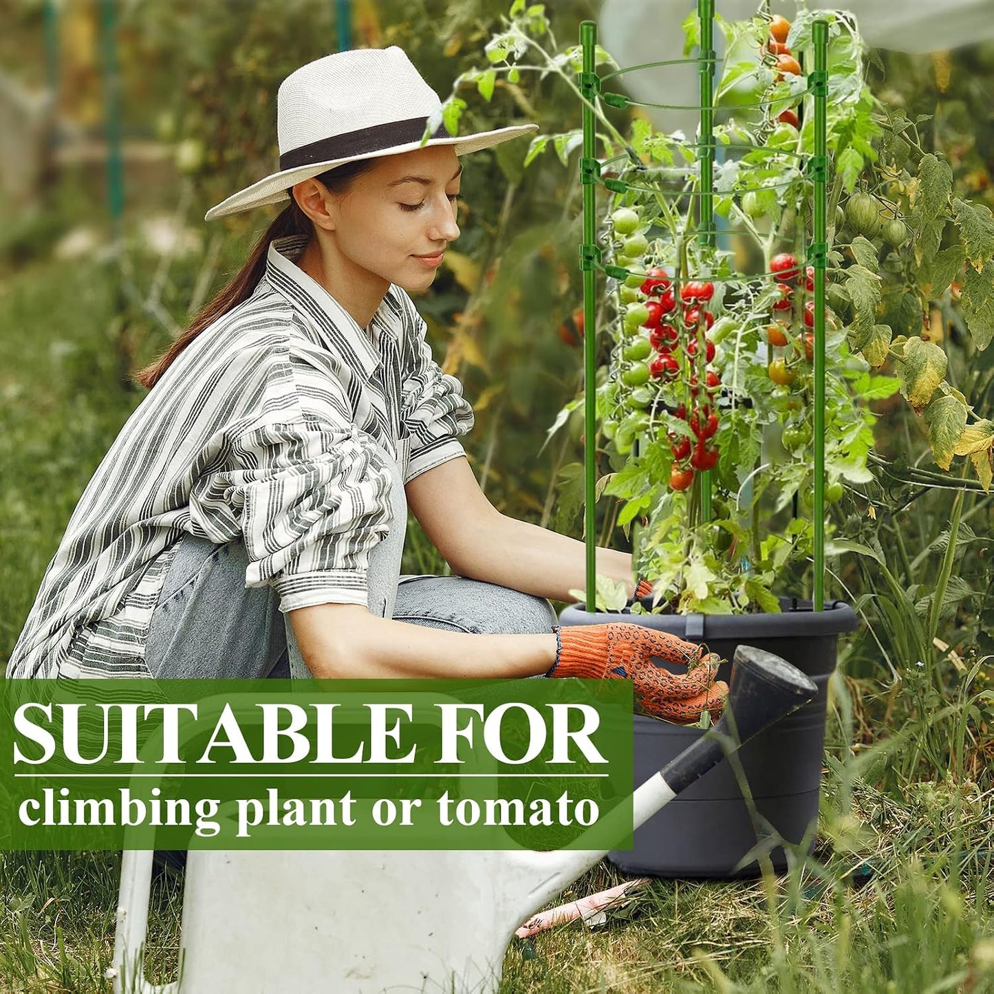 3 Packs Plant Support Cages Tomato Cage for Garden- 18 Inch Adjustable Garden Cucumber Trellis Plant Stakes, Trellis Support Rings for Climbing Plants, Pots, Indoor Plants with 10 Plant Clips