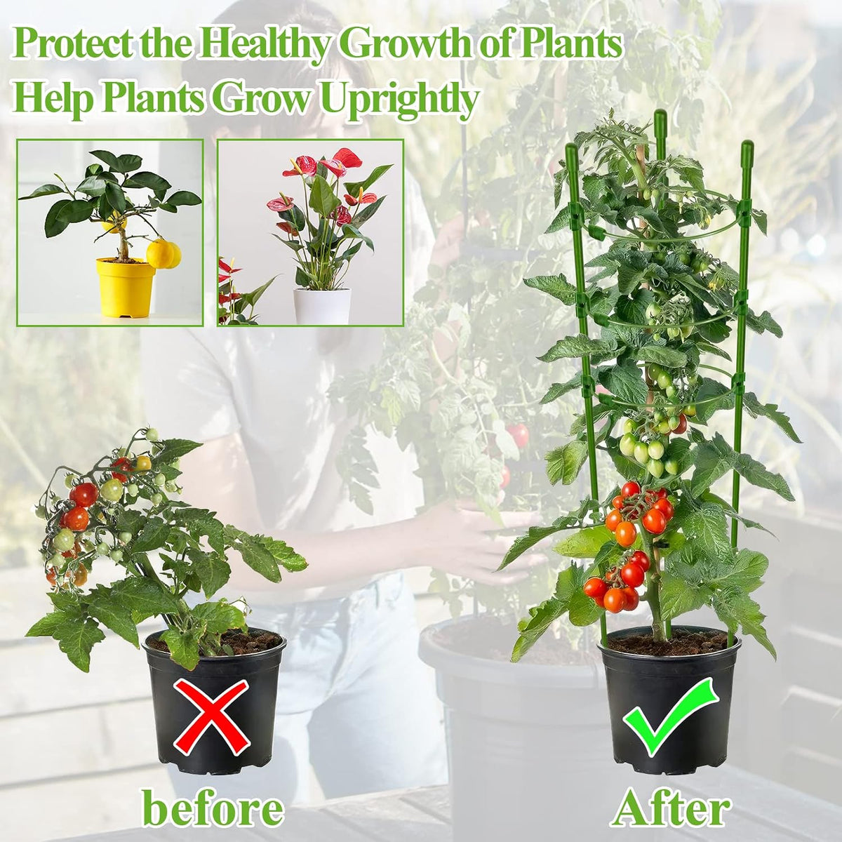 3 Packs Plant Support Cages Tomato Cage for Garden- 18 Inch Adjustable Garden Cucumber Trellis Plant Stakes, Trellis Support Rings for Climbing Plants, Pots, Indoor Plants with 10 Plant Clips