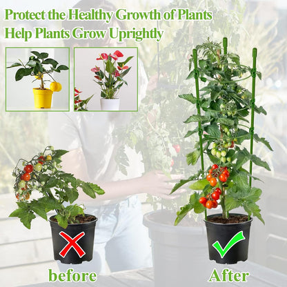 3 Packs Plant Support Cages Tomato Cage for Garden- 18 Inch Adjustable Garden Cucumber Trellis Plant Stakes, Trellis Support Rings for Climbing Plants, Pots, Indoor Plants with 10 Plant Clips