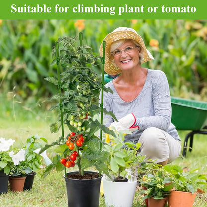 3 Packs Plant Support Cages Tomato Cage for Garden- 18 Inch Adjustable Garden Cucumber Trellis Plant Stakes, Trellis Support Rings for Climbing Plants, Pots, Indoor Plants with 10 Plant Clips