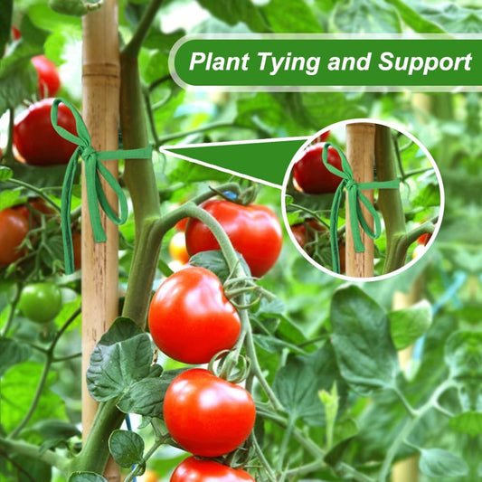 2 Packs Garden Twine, Soft Green Plant Ties for Tomato (196ft)