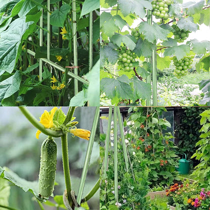 4Feet 48inch Garden Stakes Sturdy Plant Sticks Support Tomato Stakes for Vegetable,Pack of 20