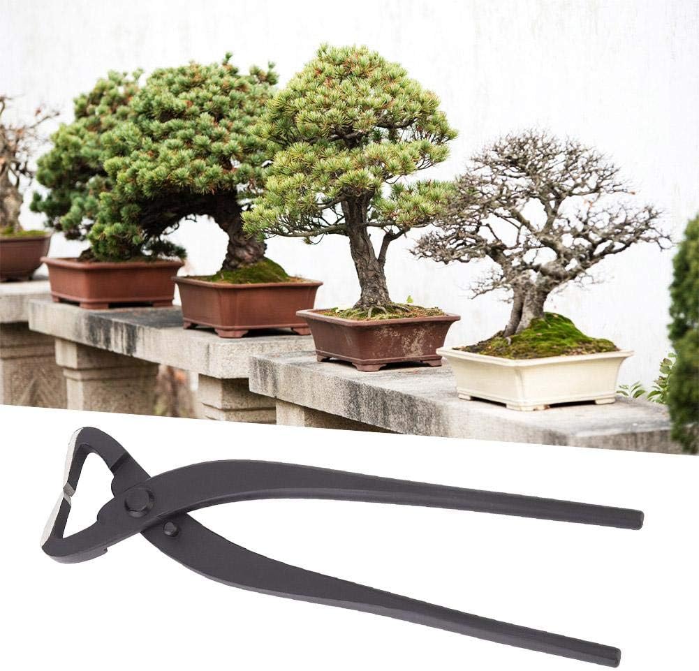 Bonsai Trunk Splitter, Styling Cutter for Garden Bonsai Beginners Ply Steel Black 210mm 1pc