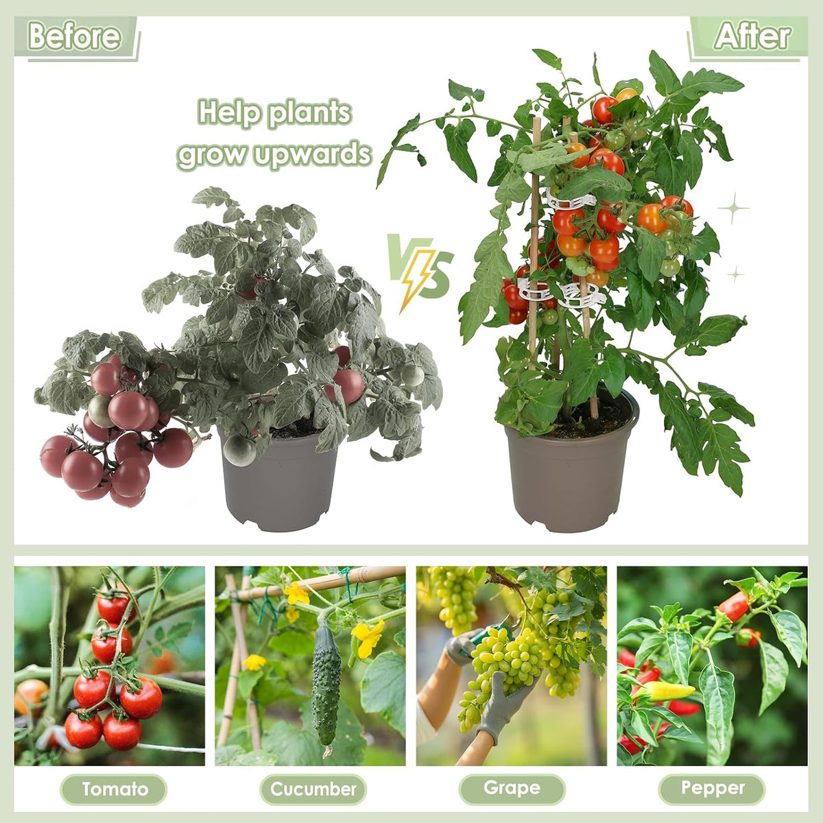300PCS Plant Support Clips, Reusable Tomato Clips for Climbing Plants
