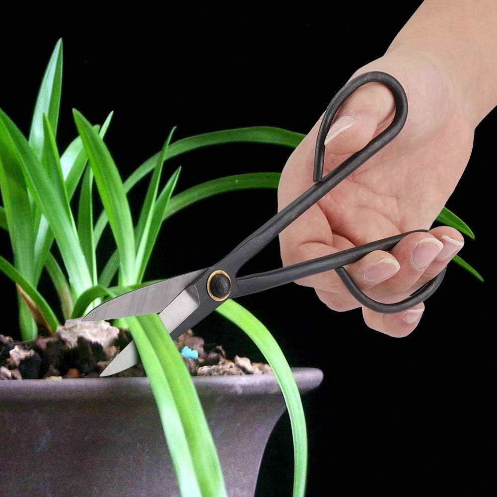 Bonsai Scissors, 205mm Long Handle Scissors Stainless Steel for Pruning Shear Bud Leaves, Bonsai Trimming Tool Garden Equipment Set.