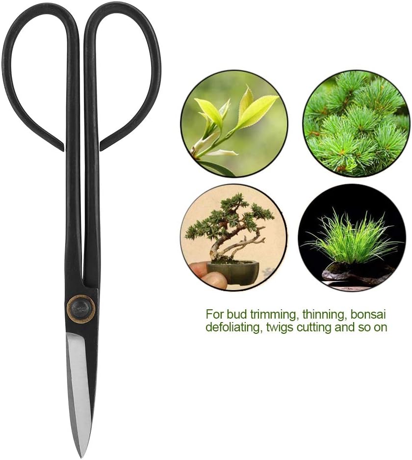 Bonsai Scissors, 205mm Long Handle Scissors Stainless Steel for Pruning Shear Bud Leaves, Bonsai Trimming Tool Garden Equipment Set.