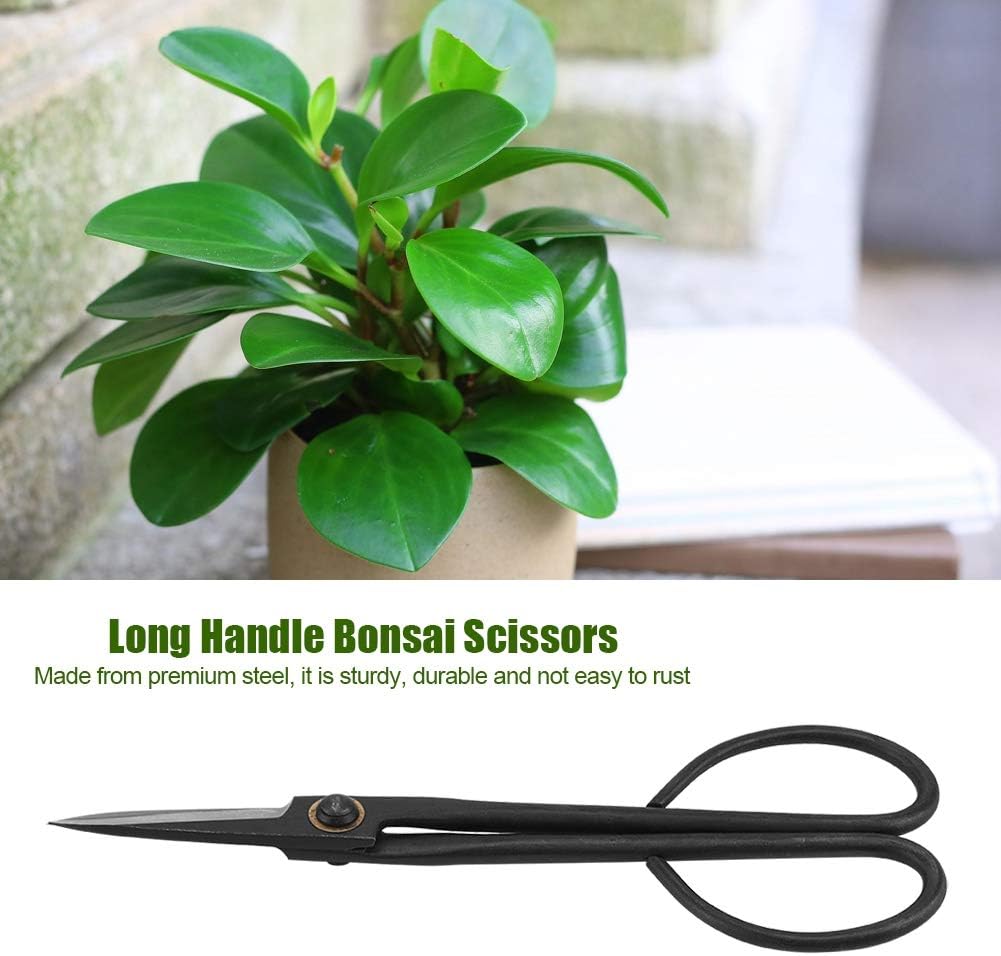 Bonsai Scissors, 205mm Long Handle Scissors Stainless Steel for Pruning Shear Bud Leaves, Bonsai Trimming Tool Garden Equipment Set.