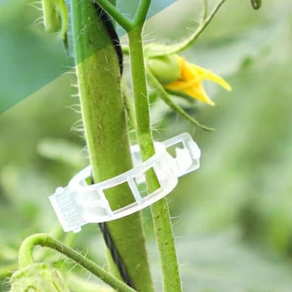 Plant Clips for Climbing Plants, Tomato Clips for Climbing Plants - Reusable Plastic Trellis Clips for Outdoor Vine Support, Grape Tomato Vegetables (100pcs, Black)