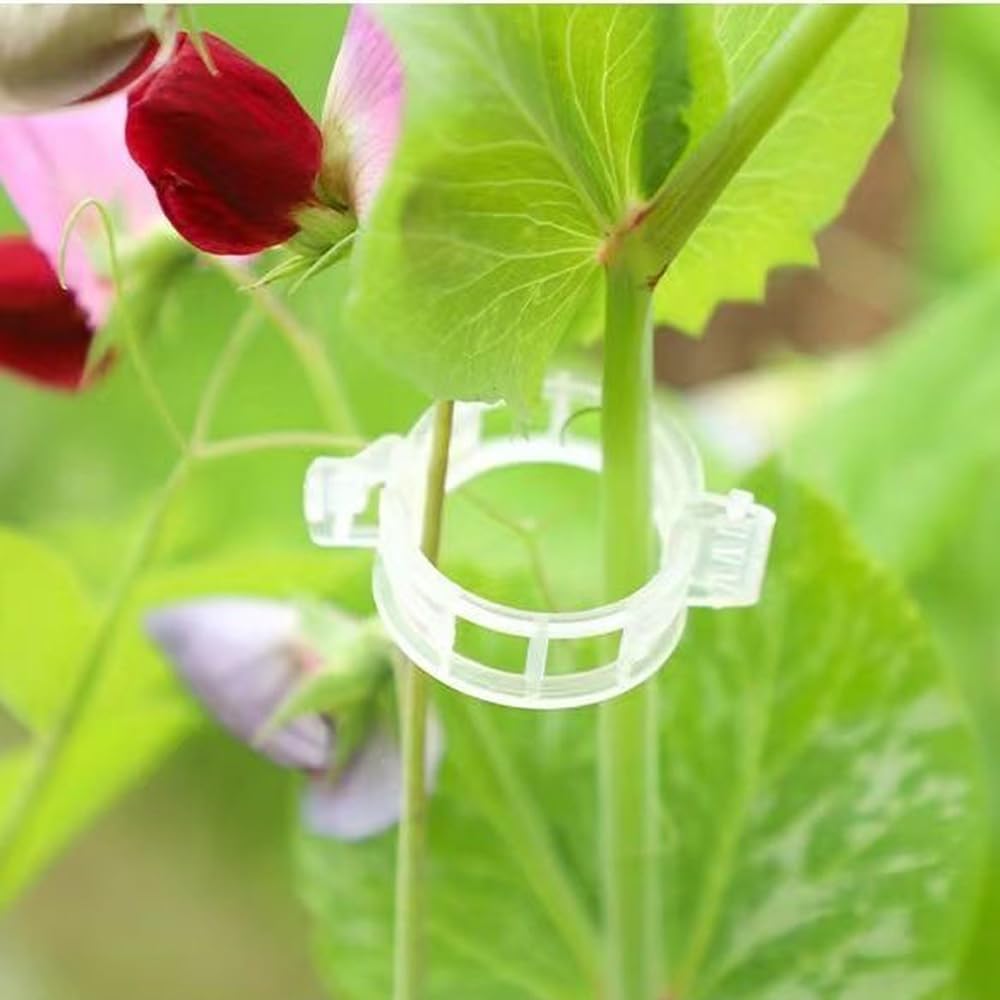 Plant Clips for Climbing Plants, Tomato Clips for Climbing Plants - Reusable Plastic Trellis Clips for Outdoor Vine Support, Grape Tomato Vegetables (100pcs, Black)
