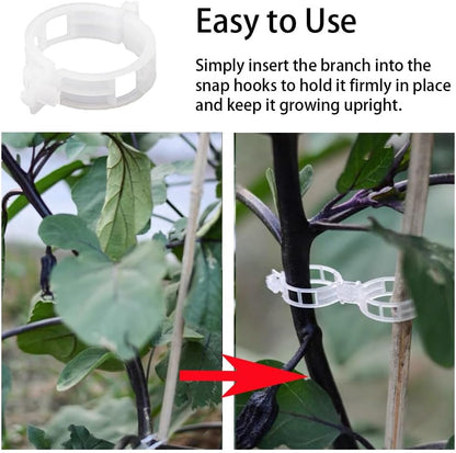 Plant Clips for Climbing Plants, Tomato Clips for Climbing Plants - Reusable Plastic Trellis Clips for Outdoor Vine Support, Grape Tomato Vegetables (100pcs, Black)