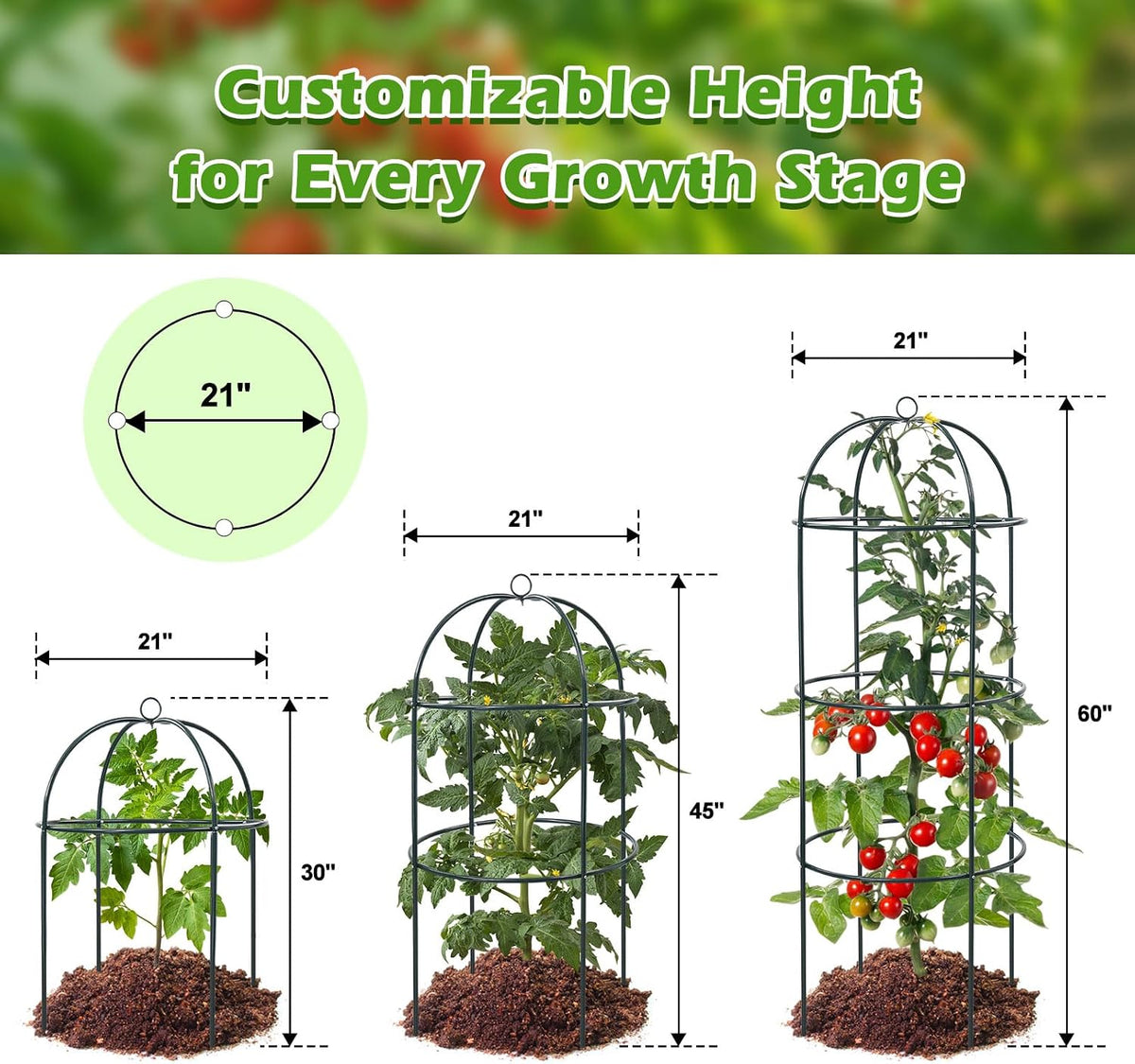 2Pcs Trellis for Climbing Plants Outdoor, 60" Tall Heavy Duty Metal Obelisk Garden Trellis Climbing Plant Support for Tomatos Cucumber Potted Vine Flower Rose Clematis Vegetable Pea Bean Trellises