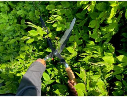 BAHP5725 Hedge Shears 540 mm-10 mm Capacity, Multi-Colour