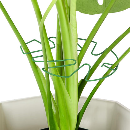 4PCS Green Iron Monstera Support, Uniquely Designed Plant Support Stakes for Indoor Plants, Stable Plant Stakes and Supports, Turtle Shell Bamboo Clamp Set for Thriving Growth