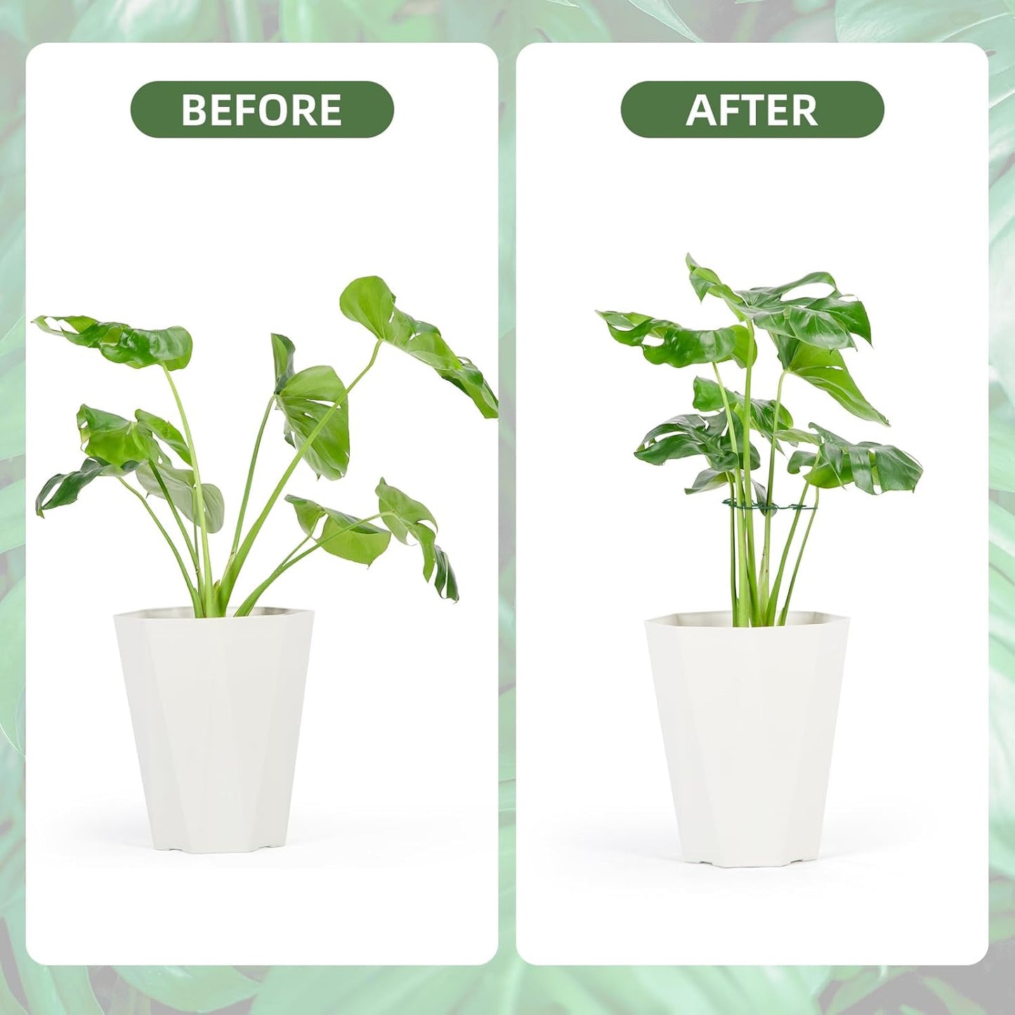 4PCS Green Iron Monstera Support, Uniquely Designed Plant Support Stakes for Indoor Plants, Stable Plant Stakes and Supports, Turtle Shell Bamboo Clamp Set for Thriving Growth