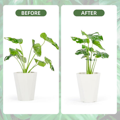 4PCS Green Iron Monstera Support, Uniquely Designed Plant Support Stakes for Indoor Plants, Stable Plant Stakes and Supports, Turtle Shell Bamboo Clamp Set for Thriving Growth