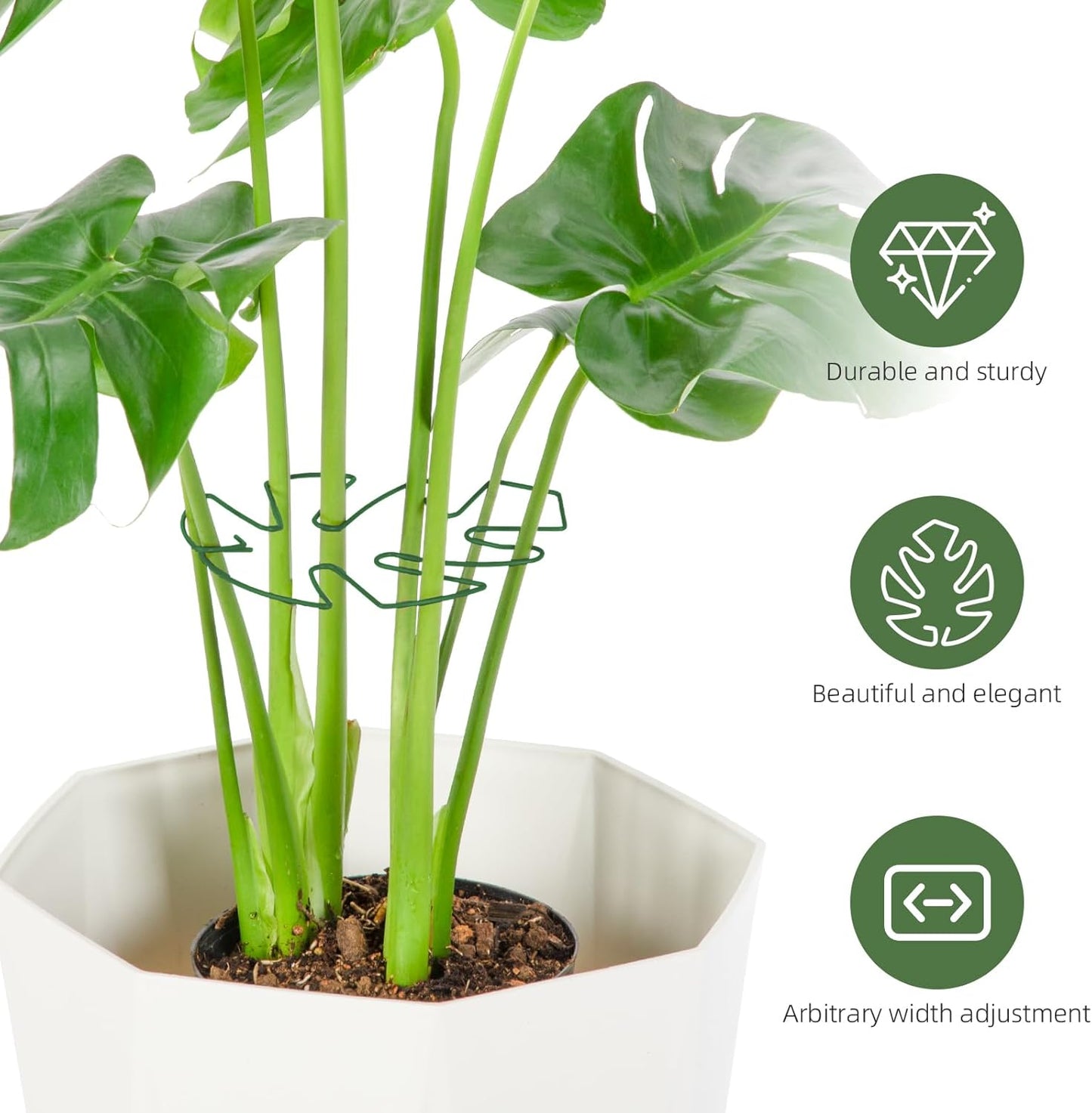 4PCS Green Iron Monstera Support, Uniquely Designed Plant Support Stakes for Indoor Plants, Stable Plant Stakes and Supports, Turtle Shell Bamboo Clamp Set for Thriving Growth