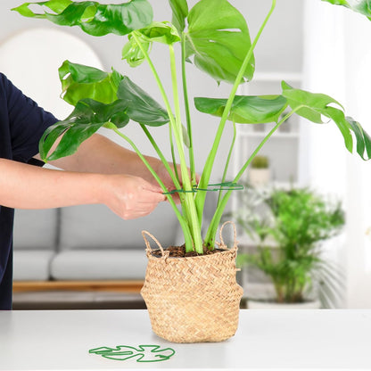 4PCS Green Iron Monstera Support, Uniquely Designed Plant Support Stakes for Indoor Plants, Stable Plant Stakes and Supports, Turtle Shell Bamboo Clamp Set for Thriving Growth