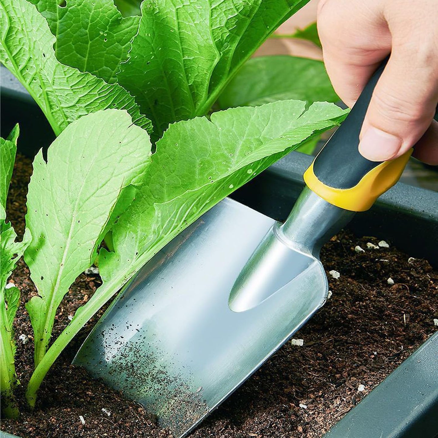 Garden Tool Shovel for Digging Gardening Trowel for Lawn Planting Stainless Steel Spade Wooden Handle Anti Slippery