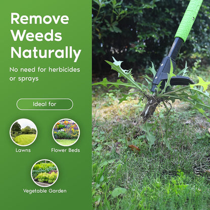 Stand Up Weeder Weed Puller Tool – Long Handle up to 45-Inch – Heavy Duty 3 Claw Weeder with Foot Pedal – No Bending or Kneeling – Great for Dandelions, Thistle, Grass