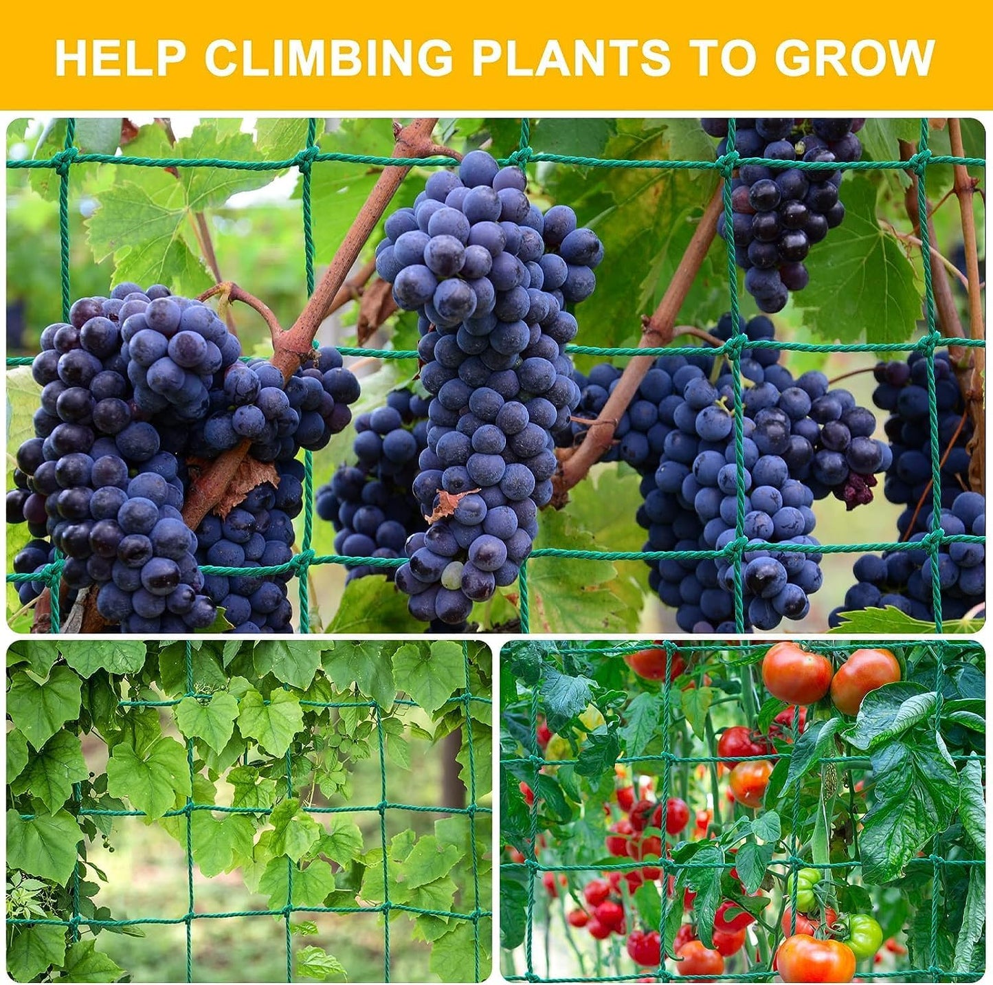 Garden Trellis Netting for Climbing Plants Outdoor, 6.6x8.2 FT Plant Netting for Cucumber, Tomato, 27 Strands Trellis Net with 4x4 Inch Mesh as Vegetable Netting for Grape, Bean, w/Plant Clips