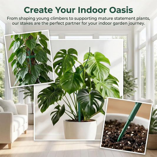 10 Pack Stackable Monstera Plant Support Stakes, Plant Sticks Support Tall for Pothos Climber, Plant Support Garden Stakes for Indoor & Outdoor Pots, Essential Monstera Support for Climbing Vines