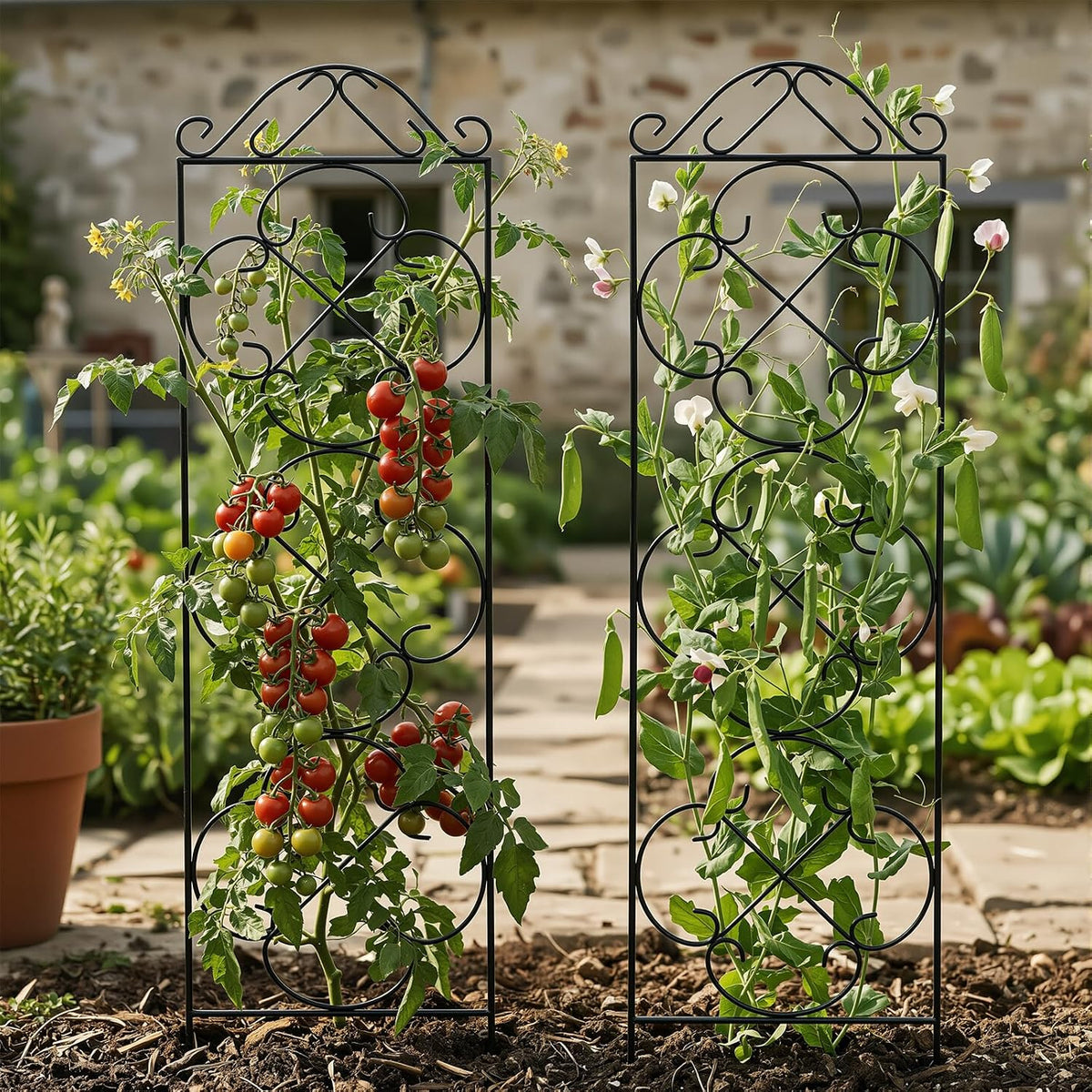 Thealyn 4 Pack 48" x 12.5" Metal Trellis for Potted Plants and Planters