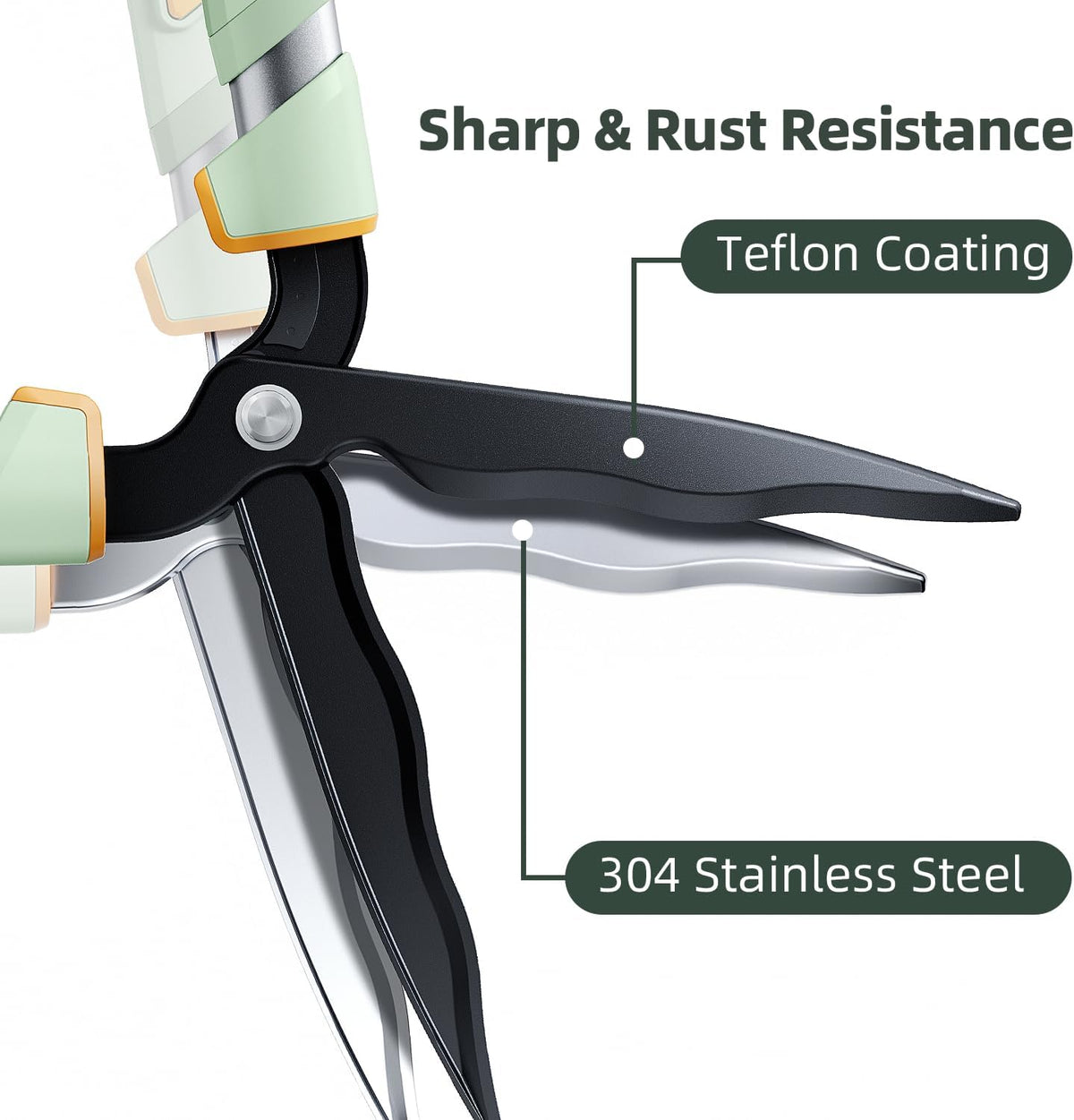 ® Extendable Hedge Shears Lightweight Ultra Sharp Blade for Bushes