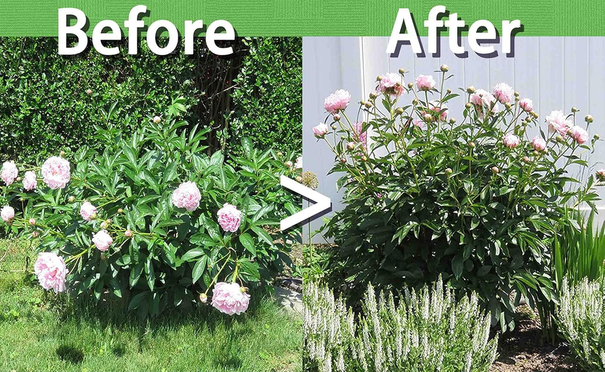 4 Sets Peony Support Cage,14"Diax32"High Heavy Duty Metal Plant Support,Grow Through Hoops Grids with 4 Thickened 5mm Legs,Strong Support Brace for Heavy Blossoms,Flower Support Ring for Peonies,Rose