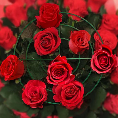 4 Sets Peony Support Cage,14"Diax32"High Heavy Duty Metal Plant Support,Grow Through Hoops Grids with 4 Thickened 5mm Legs,Strong Support Brace for Heavy Blossoms,Flower Support Ring for Peonies,Rose