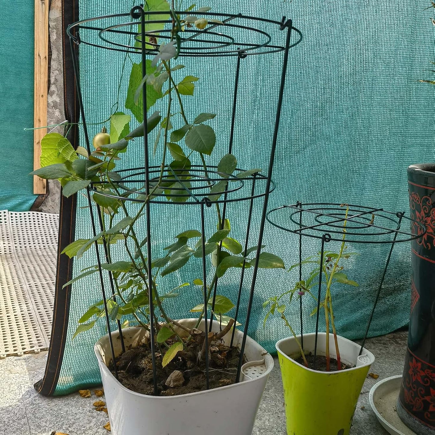 4 Sets Peony Support Cage,14"Diax32"High Heavy Duty Metal Plant Support,Grow Through Hoops Grids with 4 Thickened 5mm Legs,Strong Support Brace for Heavy Blossoms,Flower Support Ring for Peonies,Rose