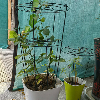 4 Sets Peony Support Cage,14"Diax32"High Heavy Duty Metal Plant Support,Grow Through Hoops Grids with 4 Thickened 5mm Legs,Strong Support Brace for Heavy Blossoms,Flower Support Ring for Peonies,Rose